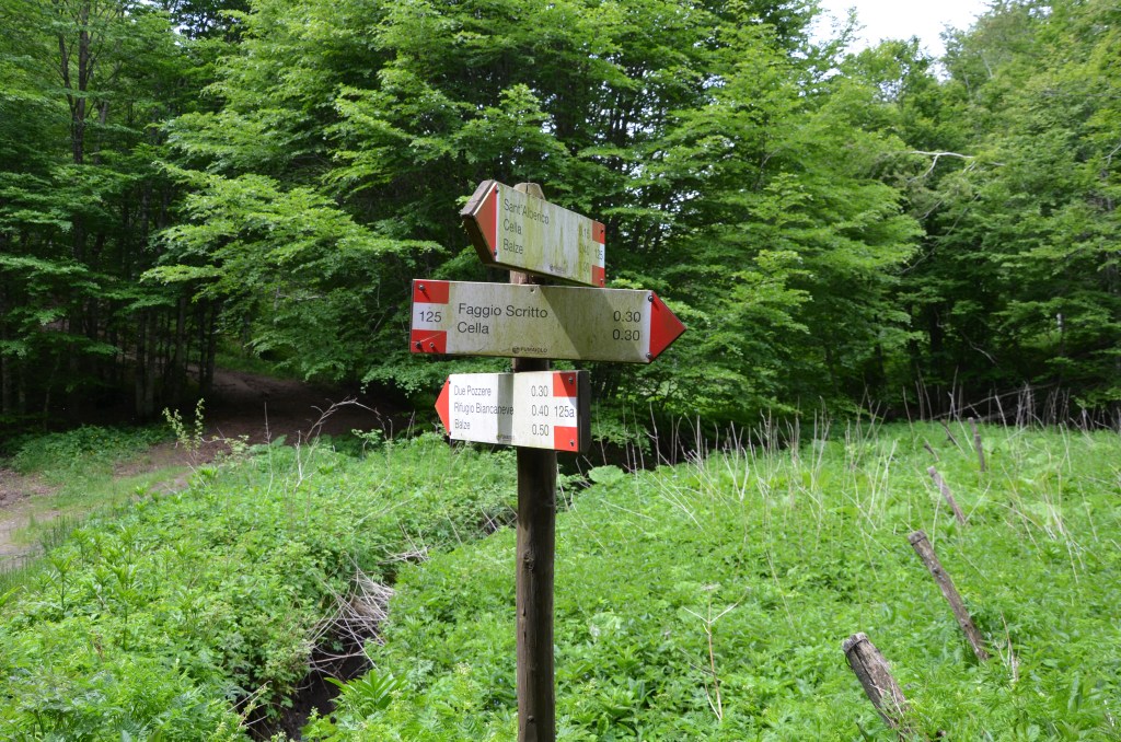 Teniamo la destra verso Faggio Scritto