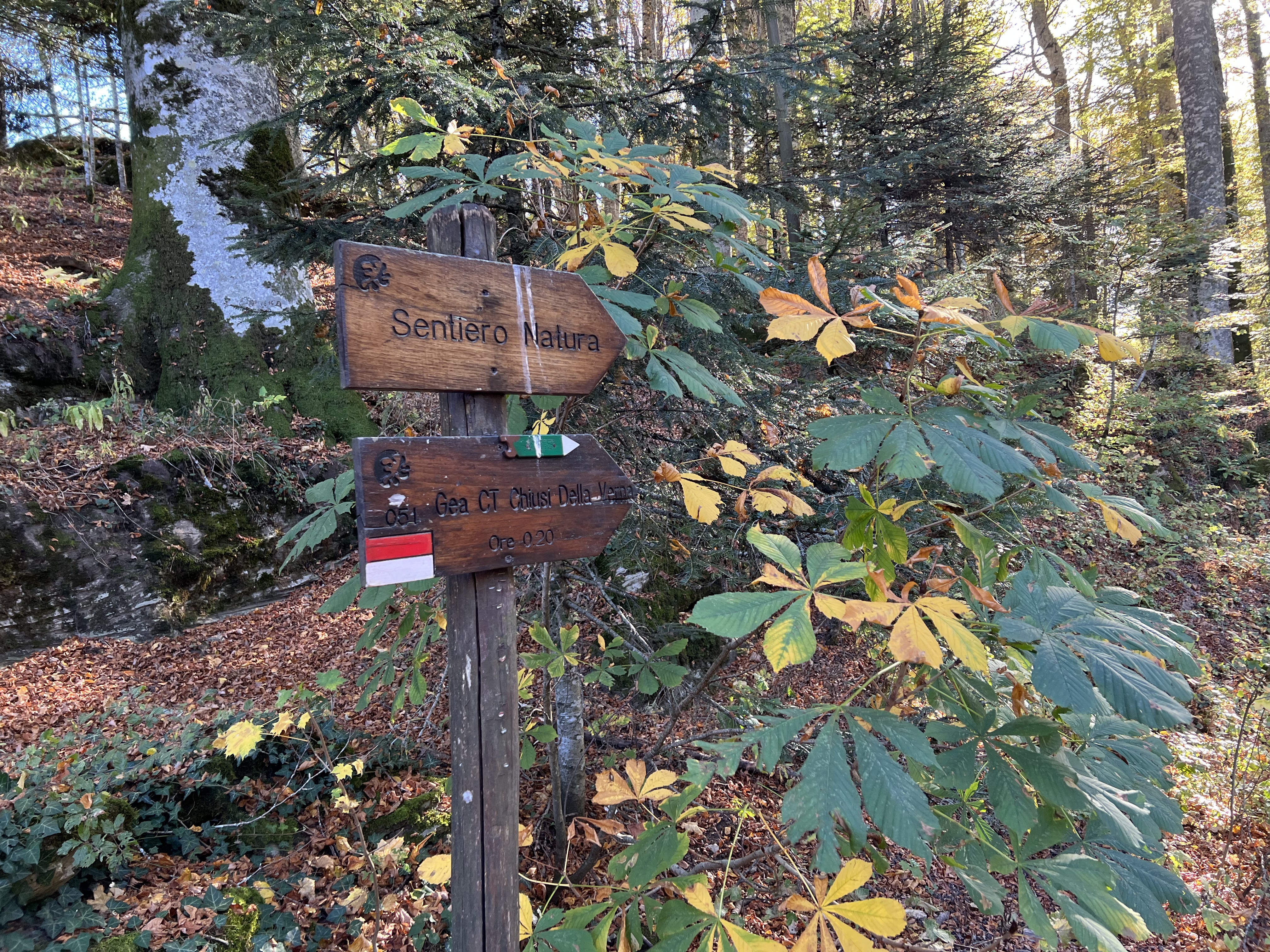 Imbocco del sentiero sulla dx