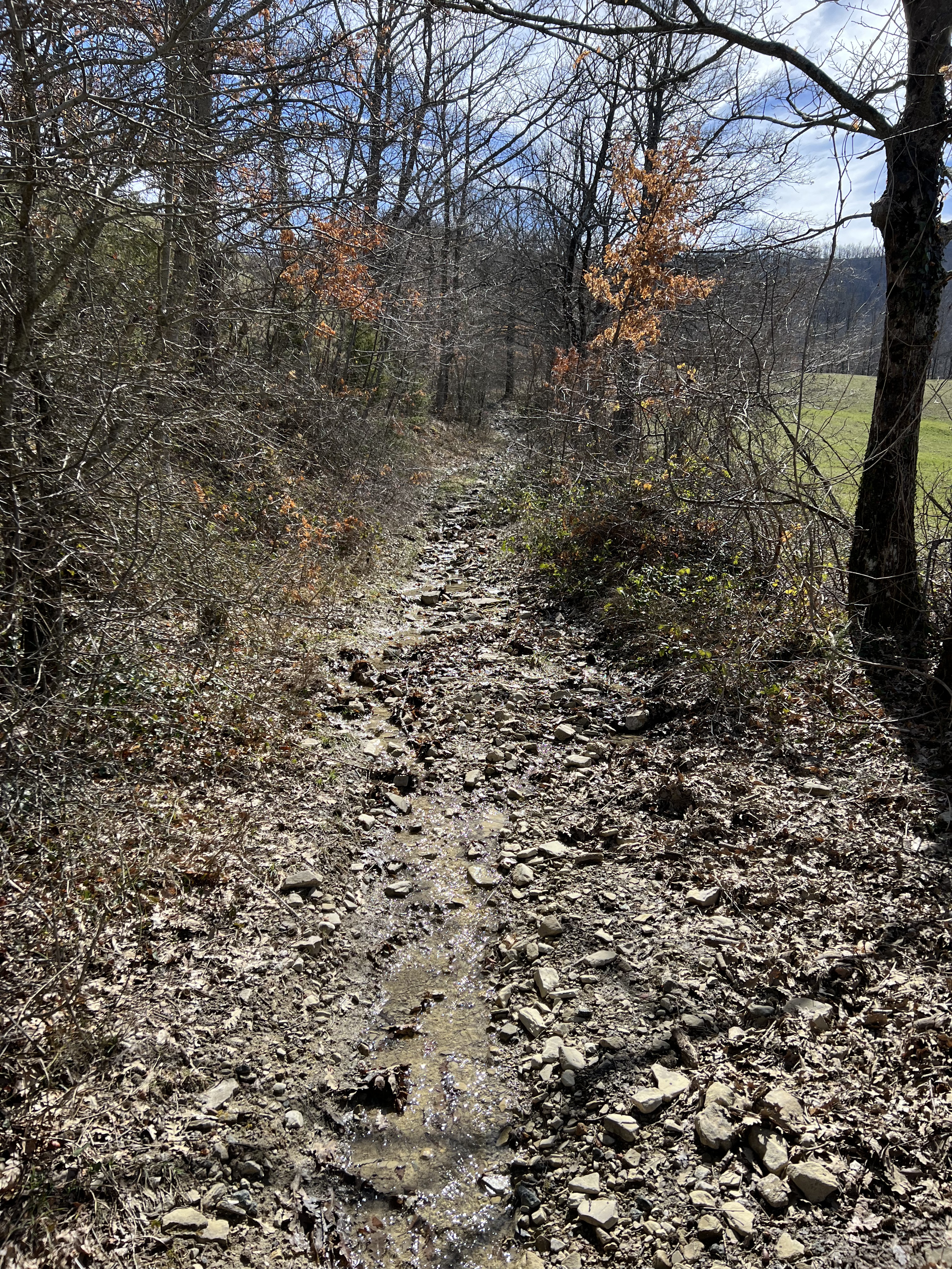 Letto d'acqua da seguire